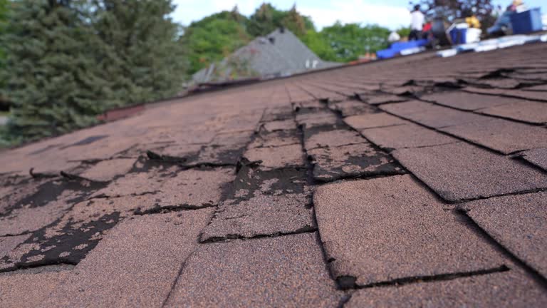 Best Gutter Installation and Repair  in Prosperity, WV