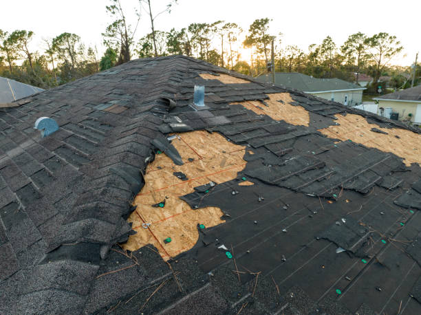 Best Asphalt Shingles Roofing  in Prosperity, WV